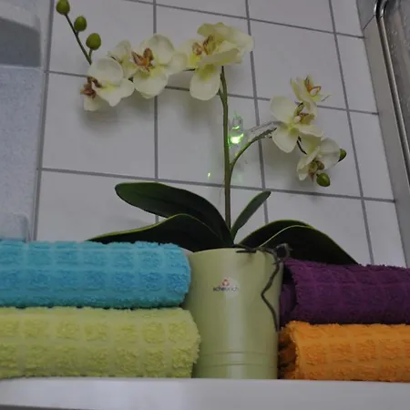 Ferienhaus Brockenhexe *
