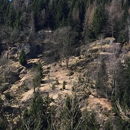 Ferienhaus Brockenhexe Elend